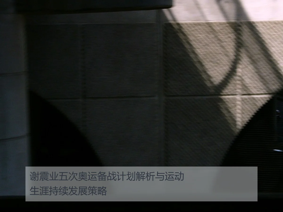 谢震业五次奥运备战计划解析与运动生涯持续发展策略